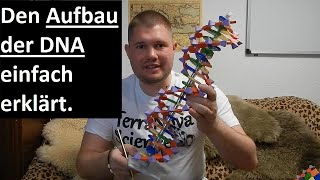 Den Aufbau der DNA einfach erklärt  Wie ist die DNA aufgebaut [upl. by Elisee]