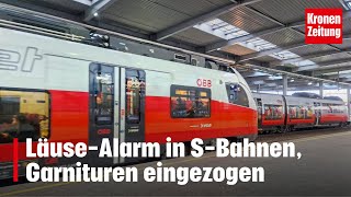 LäuseAlarm in SBahnen Garnituren eingezogen  kronetv NEWS [upl. by Artnoed73]