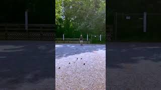 Thats Game boules petanque athensga [upl. by Yblek]