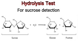 Hydrolysis Test for sucrose Knowledge Academy [upl. by Oaks]