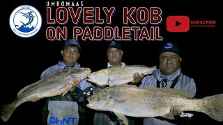 KOB SMASH  Paddletail Livebait Light tackle South Coast [upl. by Trisha792]