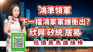 鴻準領軍 下一檔鴻家軍誰衝出 欣興 矽統 居易 低價黑馬誰接棒｜股市易點靈 許毓玲 分析師｜20241030 [upl. by Haldi]