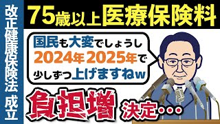 【2024年度から】75歳以上の医療保険料がこんなに増える？後期高齢者医療制度の保険料引き上げについて解説【老後年金153万円以上は注意】 [upl. by Llednek421]