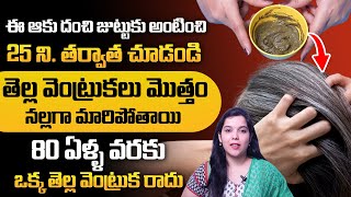 ఒక్కసారి జుట్టుకు రాస్తే జుట్టు నల్లగా పొడవుగా పెరుగుతుంది Ramaa Raavi Hair Growth Oil  greyhair [upl. by Tanhya936]