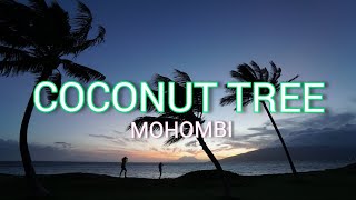 Mohombi  Coconut Tree Ft Nicole Scherzinger lyrics  Under the coconut tree [upl. by Ontine228]