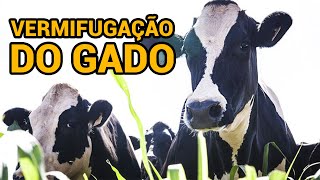 Qual período fazer a VERMIFUGAÇÃO dos animais criados a pasto  Dica EducaPoint [upl. by Dody]