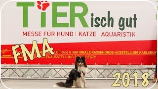 FMA TIERisch gut 2018  Haustiermesse in Karlsruhe [upl. by Helve487]