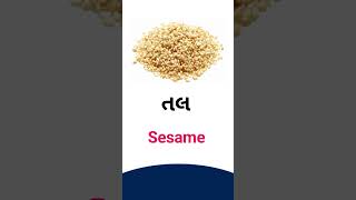 Sesame meaning in Gujarati  English dictionary [upl. by Gustaf]