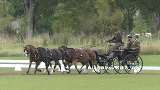 05 HAMMINK Marijke NED CAIO4 P4 Donaueschingen Part Dressage Four in hand ponies 13 09 2024 [upl. by Hrutkay]