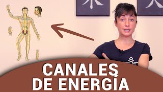 CANALES DE ENERGÍA y MEDICINA CHINA en los órganos ☯︎☯︎☯︎ [upl. by Courtland]