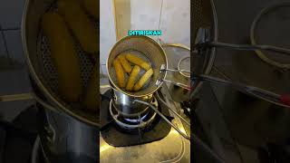 102 Deep Fryer Mini Stainless 12 cm [upl. by Sheaff]