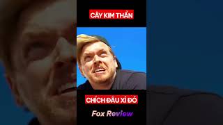 Cây Kim Thần Chích Đâu Xì Đó Fox Review Phim [upl. by Akirahc908]