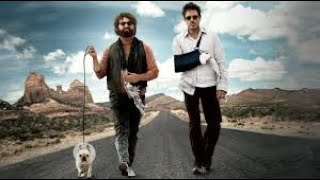 Due Date Full Movie Facts  Review And Knowledge  Robert Downey Jr  Zach Galifianakis [upl. by Ynohtnaluap863]