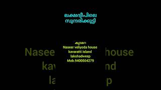 ലക്ഷദ്വീപിലെ സുന്ദരിക്കുട്ടി  കവറത്തി ദ്വീപ് Naseer veliyoda house 9400504279 [upl. by Euseibbob654]