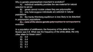 Why is genetic polymorphism important to evolution [upl. by Bj]