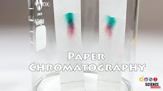 Paper Chromatography  Science Project [upl. by Consolata]