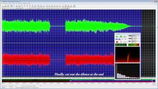 Ripping Vinyl Records With GoldWave Audio Editor [upl. by Nan690]