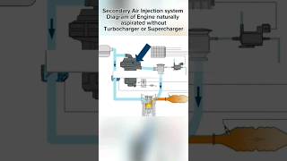 Secondary Air Injection SystemDiagram of Engine naturally aspirated without turbo or supercharger [upl. by Ofilia686]