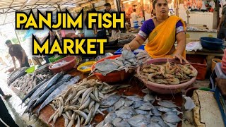 Fresh fish buying in panjim fish market goa  Panjim market goa  goa fish market price  Goan vlog [upl. by Lekym19]