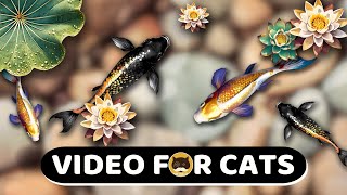 CAT GAMES  Relaxing Koi Fish Pond Videos for Cats  CAT TV  1 Hour [upl. by Ihn]