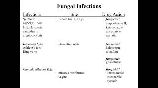 anti infective drugs antibioticsantifungalantiviralantiprotozoalanthelmintic [upl. by Okia141]