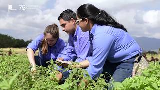 EAP ZAMORANO Conoce la carrera de Ciencia y Producción Agropecuaria [upl. by Eniliuqcaj528]