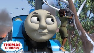 Thomas amp Friends  Banjo and The Bushfire  Kids Cartoon [upl. by Yr499]