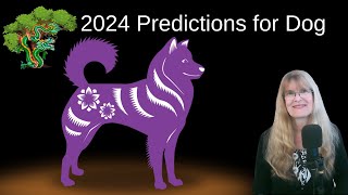 Dog – Chinese astrology 2024 Luck and Hard Work Predictions [upl. by Adnomal]