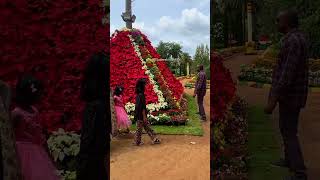 Flower show Mysuru Dasara 2024  Botanical Garden Lingambudhi Lake [upl. by Eseekram]