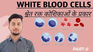 lecture 16 What is White Blood CellTypesFunctionsMorphologyrelated diseasespartII [upl. by Keiryt283]