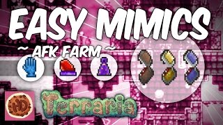 Terraria Mimic Farm  13 AFK Mimic Farm  New Items [upl. by Ailegra916]