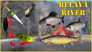 Belaya River Grayling Brown trout spin  float  Russian Fishing 4 rf4 spot 253 mjplay [upl. by Linsk]