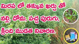 Dhanuka Omite  Omite Insecticide  Mite control insecticide  omite insecticide uses in telugu [upl. by Virg]