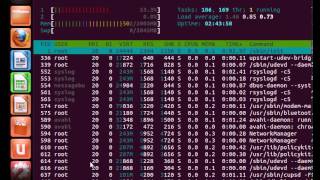 HTOP Process monitoring in Linux UrduHindi CBT training video Ubuntu 1204 [upl. by Aivilys]