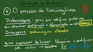 Introdução às Neoplasias  Resumo  Patologia Geral [upl. by Iasi867]