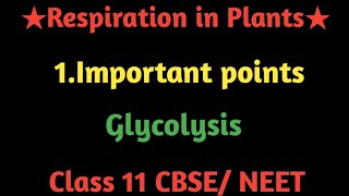 Respiration in Plants  Glycolysis [upl. by Neidhardt919]