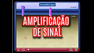 AMPLIFICAÇÃO DE SINAL [upl. by Amund]