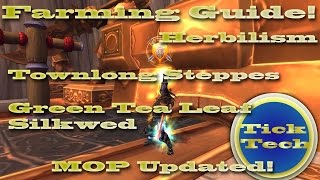 Farming Guide Herbilism  Townlong Steppes [upl. by Lorilee]