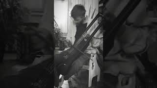 Bass Tagelharpa  Song Hunding [upl. by Anica]