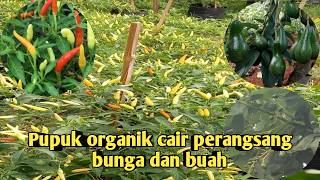 Pupuk perangsang bunga dan buah [upl. by Rohclem]