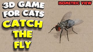 3D game for cats  CATCH THE FLY isometric view  4K 60 fps stereo sound [upl. by Krever]