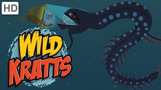 Wild Kratts  Dive into the Atlantic Ocean [upl. by Jerad]