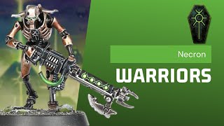 8 Important Questions To Ask Yourself When Using Necron Warriors [upl. by Kellen451]