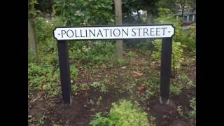 Pollination Street public gardens Todmorden West Yorkshire [upl. by Winikka574]