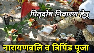 नारायण बलि व त्रिपिंडी पूजा  Pitra dosh ke Upay  Narayanbali tripindi Puja  Pandit ji Haridwar [upl. by Huldah814]