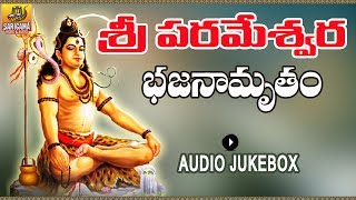 Challakere Brothers ► Paratpara Parameshwara Rudram Chamakam  Lord Shiva Sanskrit Devotional Songs [upl. by Vivien]