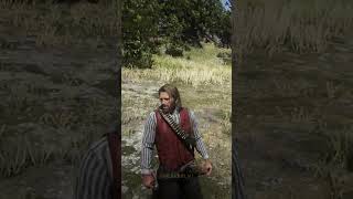 001 Players Know this Rarest Horse in RDR2 [upl. by Oflunra956]