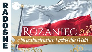 Różaniec Teobańkologia o błogosławieństwo i pokój dla Polski 1111 Sobota [upl. by Ilil796]