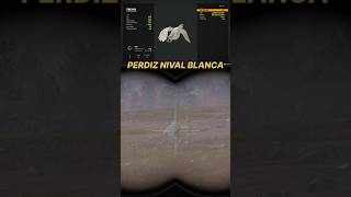 PERDIZ NIVAL BLANCA  THE HUNTER CALL OF THE WILD shorts thehuntercallofthewild [upl. by Evets]