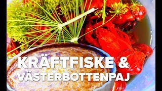 KRÄFTFISKE amp VÄSTERBOTTENPAJ [upl. by Marge]